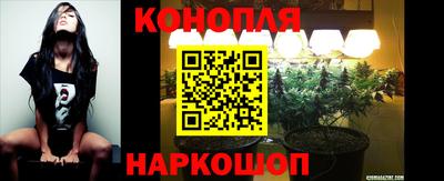 меф Краснознаменск