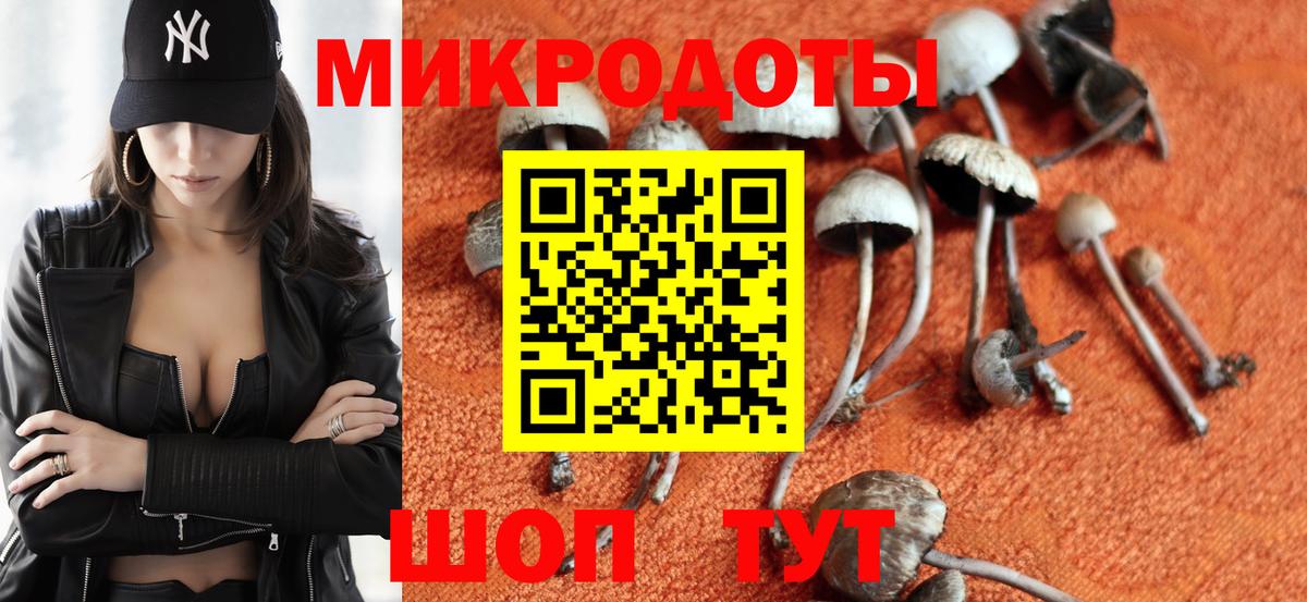 Псилоцибиновые грибы Cubensis  Вход с VPN  Псилоцибиновые грибы мухоморы  Черняховск 
