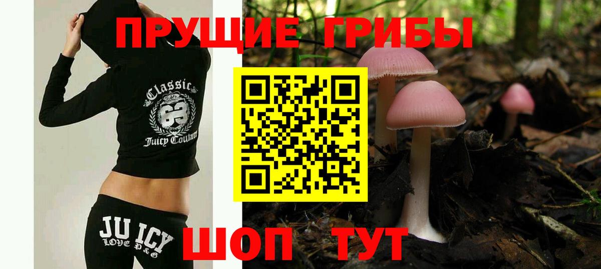 Галлюциногенные грибы Cubensis Черняховск